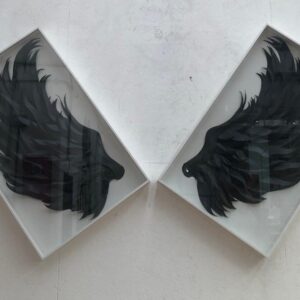Aninha Haddad - Asas negras