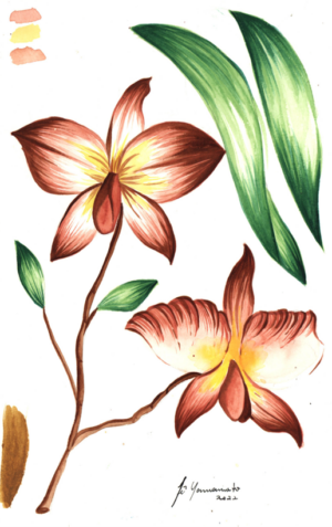 Fe Yamamoto - Orquídeas