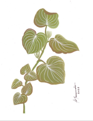 Fe Yamamoto - Pariparoba - Image 2