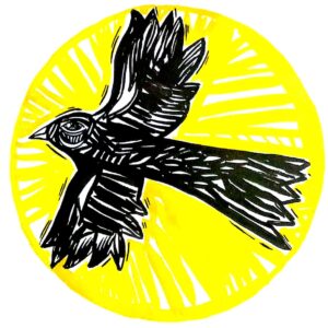 Caburé - Passaro preto
