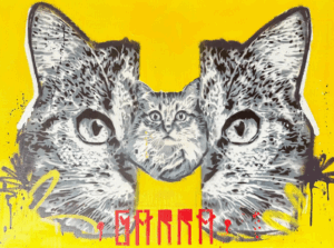 William Pimentel - Garra
