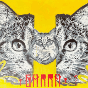 William Pimentel - Garra